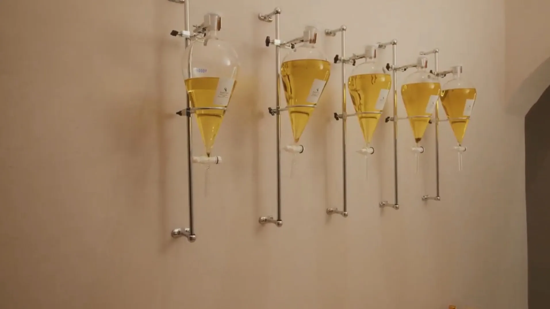 Five glass funnels of golden oil mounted on a sand-coloured wall
